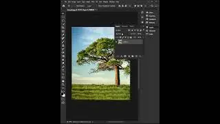 Cutout tree from complex background with Photoshop #photoshopeffects #photoshop #photoshopshorts
