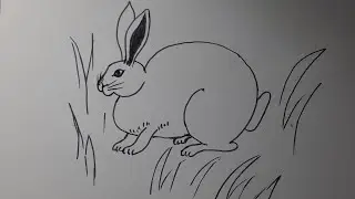 Rabbit for young children . Quyon yosh bolalar uchun . Кролик для маленьких детей.