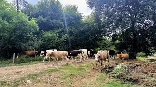 Bu çiftliğe bayılacaksınız