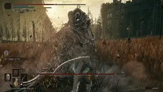 ELDEN RING Beating Commander Gais no summon