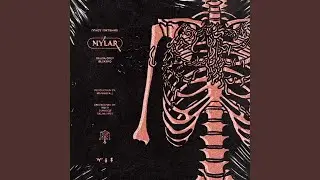 MYLAR