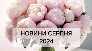Увага! Аналізуємо новини на серпень 2024 року. Чого чекати Фопу від держави в майбутньому.🤷‍♂️
