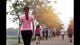The timing of cell renewal in the body