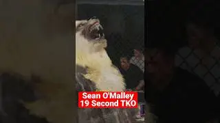 Sean O'Malley 19 Second TKO⏳🔥(UFC4) Short