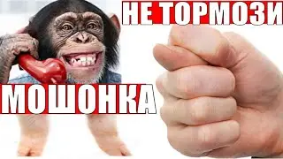 ✅ ЛЕГЕНДАРНОМУ САЙФУЛЛО ПОЗВОНИЛА КАКАЯ ТО ОБЕЗЬЯНА мошенники звонят по телефону