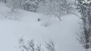 大雪の3月