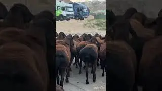 7 августа 2024 г.