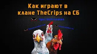 LineAge 2 Asterios x5 