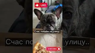 Корочку от пиццы они мне зажали