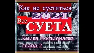 Как не суетиться в 2021 году / Все Суета /Книга Екклесиаста  Глава 2