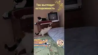 Так выглядит осторожность.