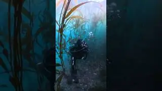 Insta360 X4 bringing some ocean moments to the surface. 