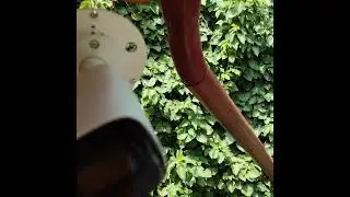 Dahua CCTV - Home Assistant Integration - Camera Mount Installation - Smart Homes / Alexei H