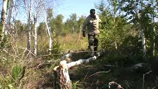 Мост для мотобуксировщика на болоте.