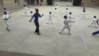 Karate kata