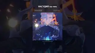 Genshin Impact| 1.2кк Нёвилетт 