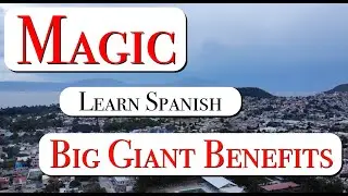 Americans Learning Spanish in Mexico