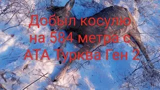 Охота на косулю на 584 метра с карабина АТА Турква ген 2 в 308 вин калибре.