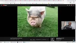 Как ты сказал? Мой кореш?