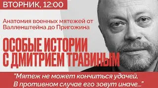 Когда мятежи успешны и почему проваливаются? Валленштейн и Пригожин - Особые Истории Дмитрия Травина