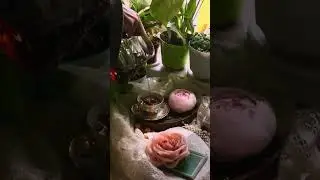 Цветение пионов круглый год 🙌🏻 свечи-розы тоже в наличии ✨