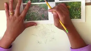 CREATE with Krystal Chang - Plant Patterns