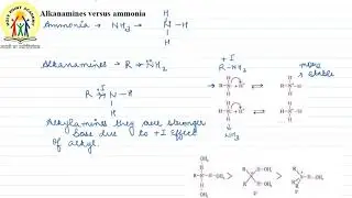 22 | ALKANAMINES VERSUS AMMONIA