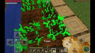 LIVE [MINECRAFT NE FACEM CASA]Hai cu zecea!!!!