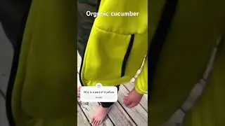 Organic cucumber