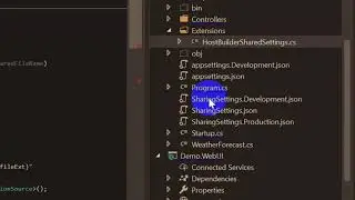 Sharing Files Settings in ASP NET Core 3.1 Preview 1.0