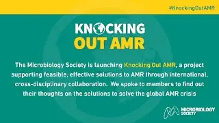 Knocking Out AMR