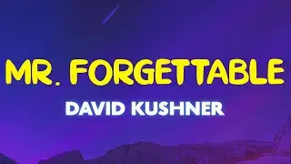 David Kushner - Mr. Forgettable (Lyrics) | Hello, hello, are you lonely