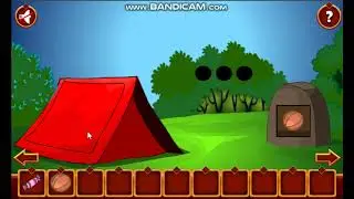 Bear Rescue Adventure