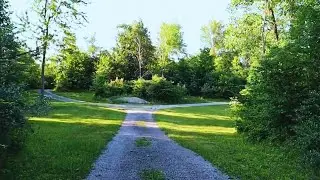 Relaxing Walk in the Woods | Nature Sounds | No Talking | HD ASMR