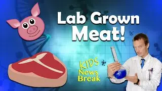 We investigate Lab Grown Meat! - Kids News Break