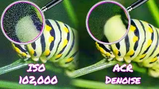 🤯 Game-Changing Noise Reduction - ACR Denoise