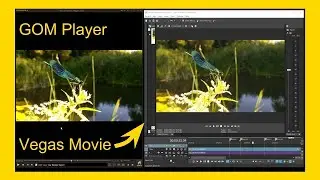 How To Download GOM Media Player | Install GOM Media Player | Tech Tutorial Videos in Hindi