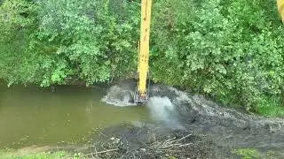 Beavers blocked the stream