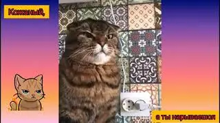 Кожаный, а ты нарывается💥😠