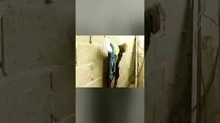 Жизнь в лагерях беженцев   массовое перенаселение и отсутствие свободы