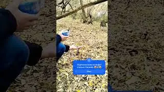 Золотая Осень