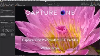 Capture One 21 - ProStandard ICC Profiles