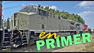 ¡Siguen llegando las nuevas! Y aún sin pintar