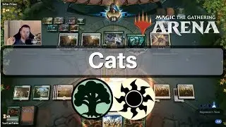 Cats - not quite ready for prime time MTG Arena