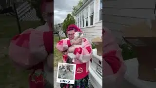 Emotional Petsies Unboxings - A Pet's Love Never Goes Away | MyPetsies©