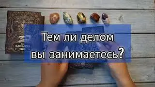 🔴Тем ли делом вы занимаетесь? Реализация, перспективы...