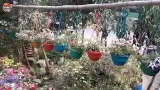 ঢাকার রাস্তায় অপূর্ব সুন্দর ফুলের নার্সারি | ফুলের বাগান | Tulip Vlogs