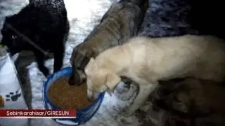 Birlikte güzel işler yapıyoruz.