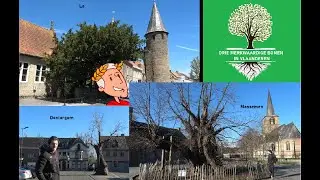 Drie merkwaardige bomen (Caesarboom Lo, Dentergemse en Massemense dorpslinde)