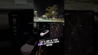 Can you activate #dogmode with less than 10% battery in your #TESLA? #FSD #Supercharger